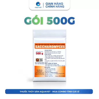 Men Tiêu Hóa Sacccharomyces Đậm Đặc